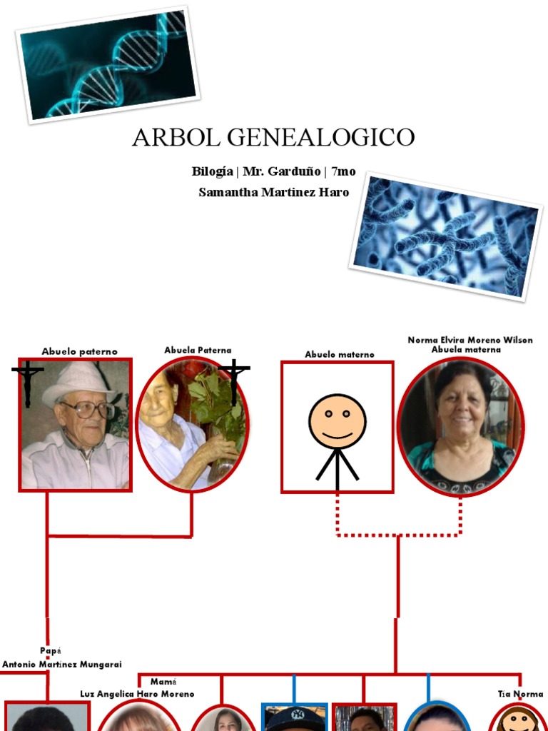 Arbol Genealogico | PDF