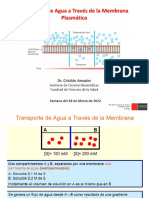 Semana 2