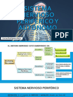 Clase 8 - Sistema Nervioso Periférico