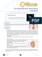 Iv Bim Biologia Sec Clase 2