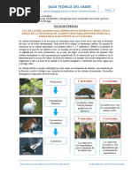 Guía Teórica Flujo de Energía