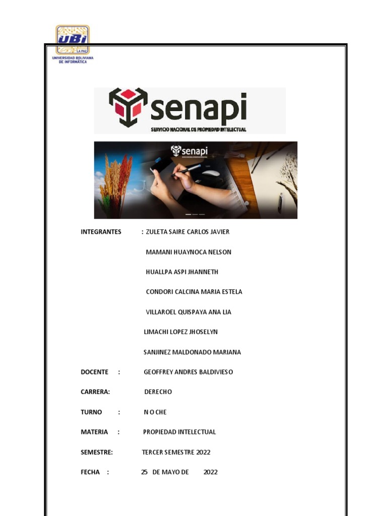 Senapi PDF Propiedad intelectual Patentar