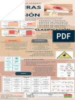 Infografia Úlceras Por Presión