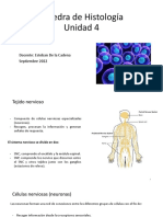 Histología Unidad 4