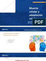 Clase 2 Muerte Celular y Adaptación Celular