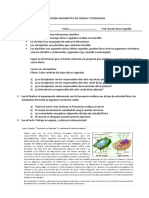 Prueba Diagnostica de Ciencia y Tecnologia