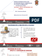 Capitulo 11 Diagramas de Causa y Efecto, Procesos y Afinidad