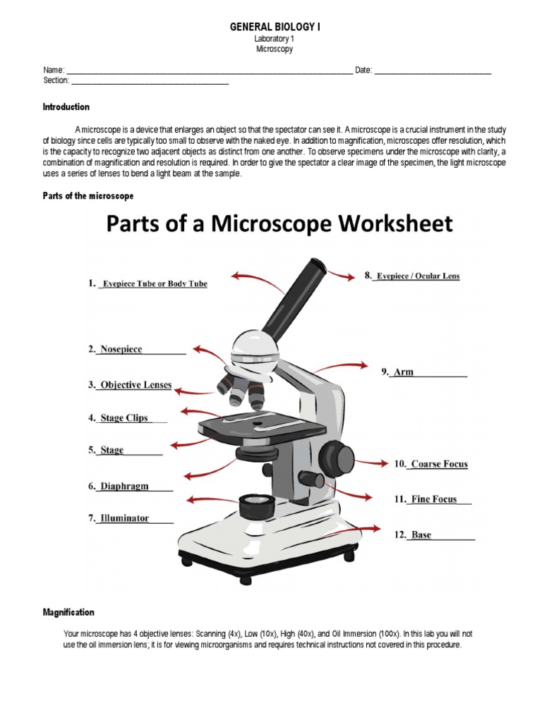 Microscopy Techniques for Biology Lab | PDF | Cell (Biology) | Microscope
