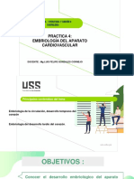 Sem 4 Práctica Aparato Cardiovascular II - DR Gonzales