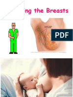 Assessing The Breast
