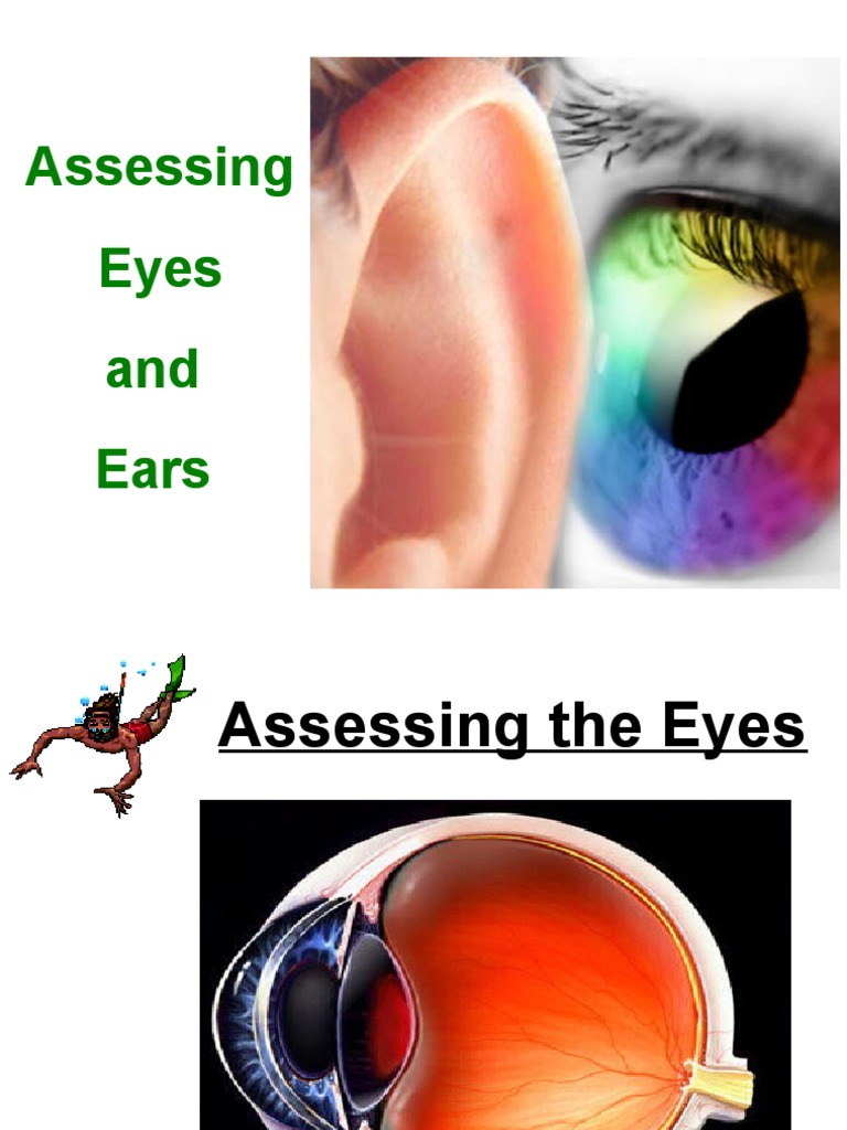 Assessing Eyes and Ears | PDF | Ear | Human Eye