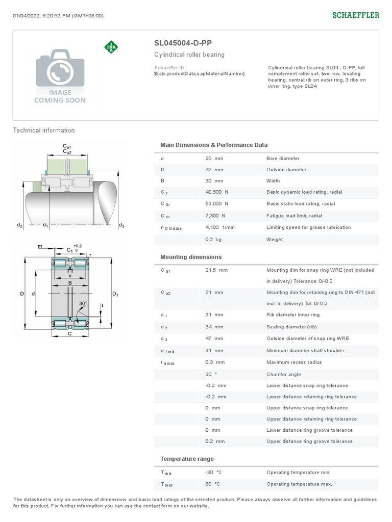 SL045004DPP Cylindrical Roller Bearing PDF Applied And
