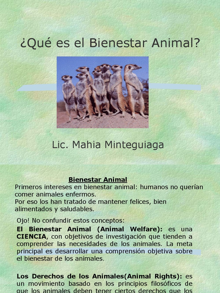 Bienestar Animal | PDF | Bienestar | Bienestar de los animales