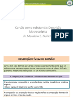 Modulo 2 - Aula 1 - Macroscopica. Guiliche