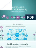 Wide Area Network (Wan)