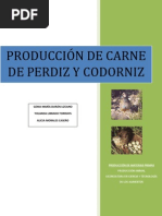 Download PRODUCCIN DE CARNE DE PERDIZ Y CODORNIZ by marcoornes SN60301527 doc pdf