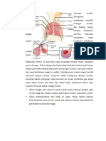 Absorpsi Melalui Sistem Pernapasan