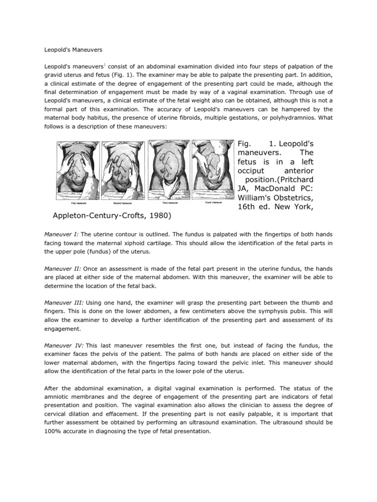 Leopold M Final | PDF