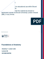 Anatomy 1 - L0 Foundations of Anatomy Part B (Student Version)
