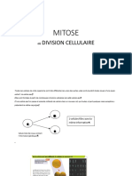 PWPmitose E2021