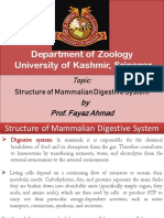 Department of Zoology University of Kashmir, Srinagar: by Prof. Fayaz Ahmad