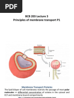 BCB 203 Lecture 3