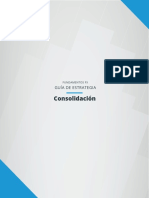 08 Consolidación