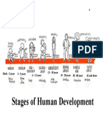 Stages of Devt