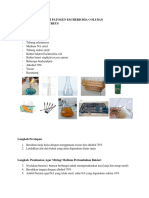 Regenerasi Bakteri Patogen Escherichia Coli Dan Staphylococcus Aureus