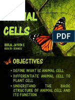 CMB PPT 3 Animal Cell Borja Jayven C