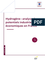 Etude-H2 Potentiel Industriel Economique-2020-Rapport