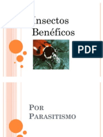 entomologia