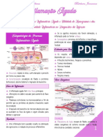 Processo Inflamatório Agudo