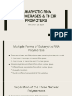 Eukaryotic RNAp and Promoters