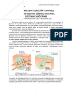 Sistema endocrino control