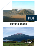 Label Gunung Meeting Room