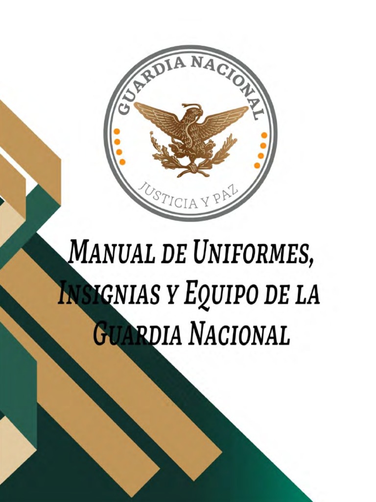 Manual Unifor Insig Equipo GN | PDF | Color | Tipografía