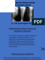 Radiologia Del Sistema Venoso Del Miembro Inferior 2022