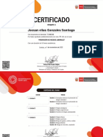 Certificado Del Curso Prevencion Ante Riesgos LaboralesXX