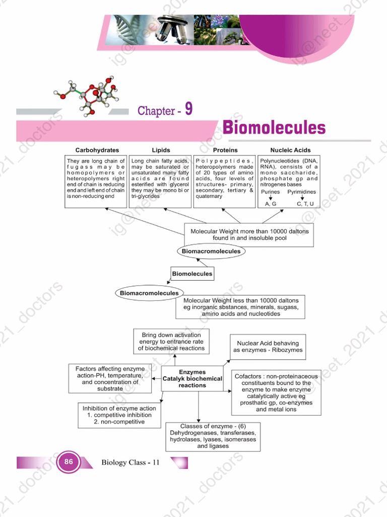 SHORT NOTES BIOMOLECULE Neet PDF