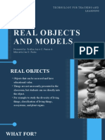 Real Objects and Models