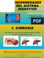 Enfermedades Del Sistema Digestivo