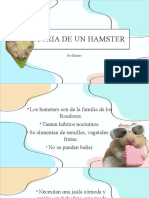 Historia de Hamster