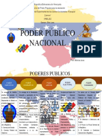 Poder Público Nacional - Jaca