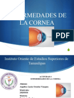 Enfermedades de La Cornea Presentacion