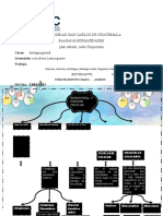 Ii Mapa Conceptual