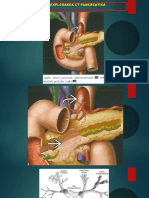 34 Patologia Pancreasului