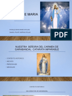 APARICIÓN DE MARIA SANTISÍMA