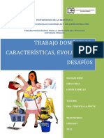 Trabajo Doméstico - Característica, Evolución y Desafío