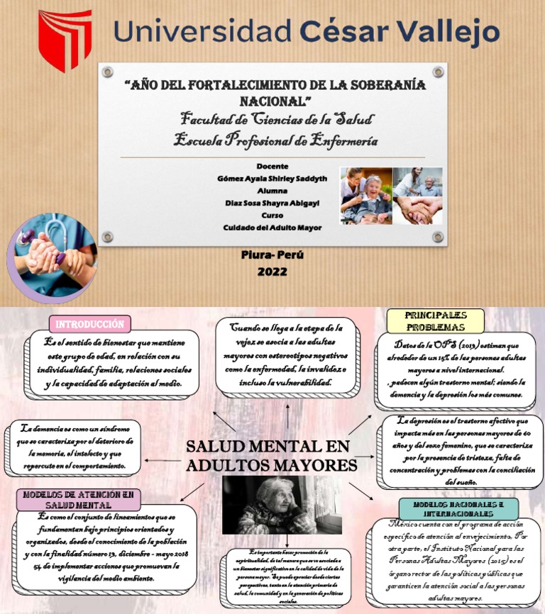 Salud Mental en Adultos Mayores | PDF | Vejez | Salud mental